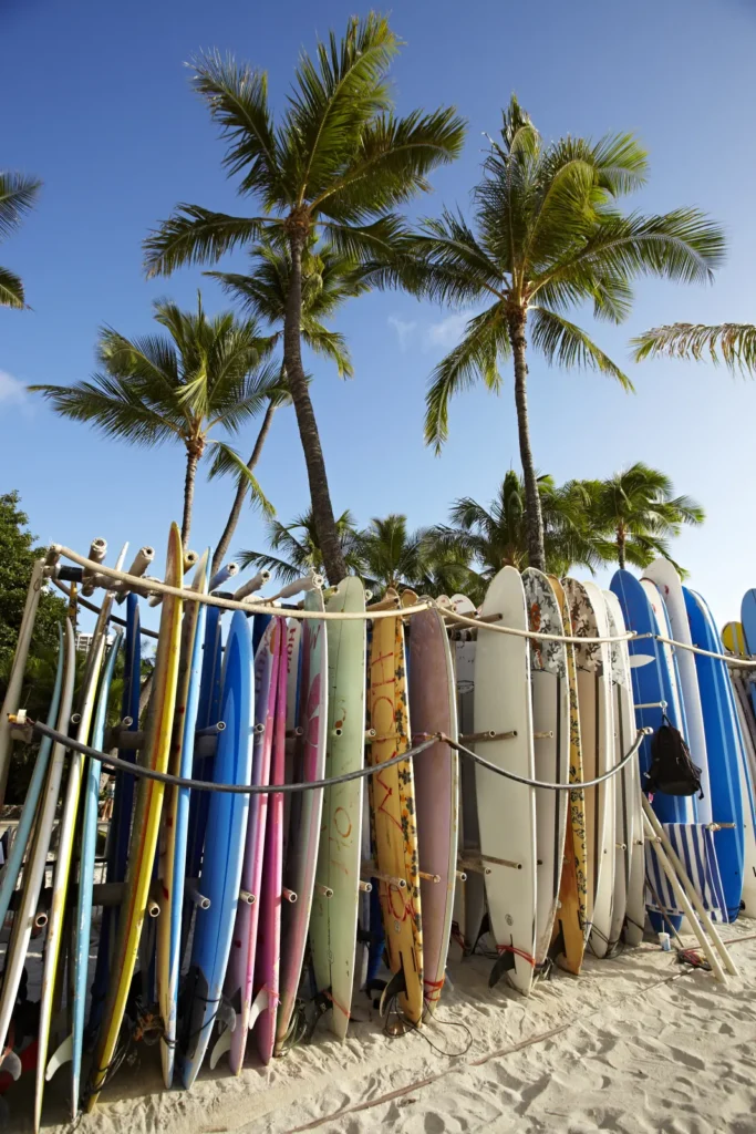 Colorful surfboards beneath palm trees at Waikīkī
